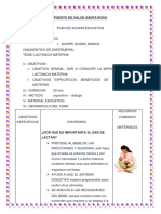 Plan de Charla de Lactancia