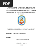 Auditoria Energetica de La Planta de Ajinomen Resumen