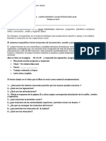 Sistema Múscular Trabajo Texto y Cuaderno