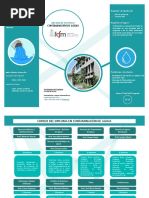 TripTico - Diplomado en Contaminación de Aguas - U. de Chile 2018