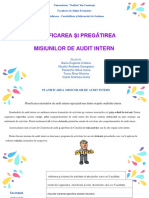 Audit Intern