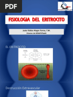 Clase 2 Fisiologia Del Eritrocito