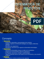 Sistematica Insectos