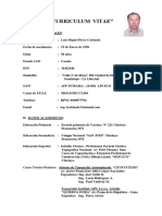 Curriculum Vitae Luis Perez Colchado