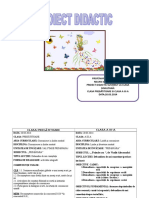 Proiect Inspecţie CLR ŞI LB