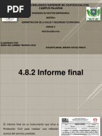 4.8.2 Informe Final