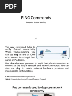 PING Commands: Computer System Servicing