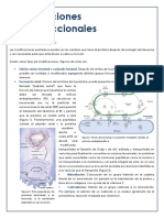 Modificaciones Postraduccionales