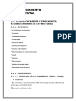 Célula Eucariota y Procariota