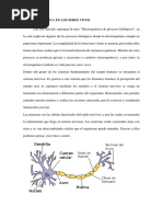 Electroquimica en Los Seres Vivos