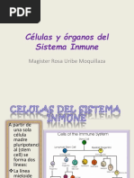  Células y Órgano Del Sistema Inmune 