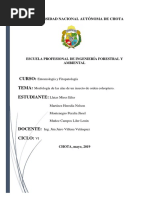 Informe P. 3