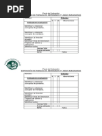 Pauta de Evaluación Paralelos