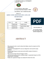 Batch 8 Kidney Stone - Updated - PPT