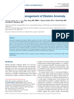 The Surgical Management of Ebstein Anomaly: Review