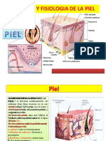 Anatomiayfisiologiadelapiel 131114122848 Phpapp 02