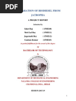 Preparation of Biodiesel From Jatropha: A Project Report