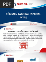 El Régimen Laboral Especial Mype