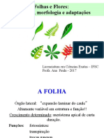 Aula 8 Folhas Flor PDF