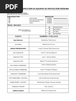 Inspecciones Epp - Paasst 2019