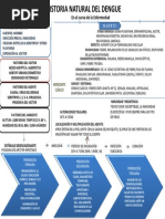 Historia Natural Del Dengue