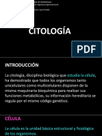 CITOLOGIA