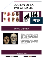 Evolucion de La Especie Humana