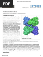 PDB-101 - Molécula Del Mes - Hidroxilasa de Fenilalanina