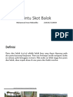 Pintu Skot Balok