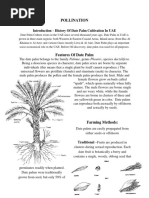 Biology - Pollination Case Study - Date Palm Cultivation in UAE