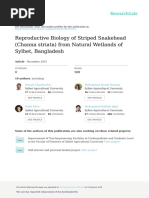 Reproductive Biology of Striped Snakehead (Channa Striata) From Natural Wetlands of Sylhet, Bangladesh