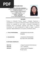 Curriculum Vitae Docente Modificado