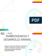 EMBRIOGENESIS