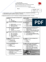 Prueba Complementaria Superzorro