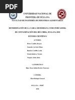 Determinación de La Carga Microbiana Como Indicadora de Contaminación Del Río Chira Sullana 2018.