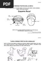 Reconocer Partes de La Boca