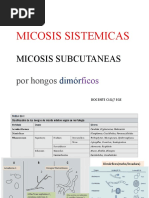 Clase 9 Hongos Dimórficos