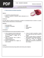 CITOLOGÍA. 1. Observación de Células Vegetales. 4º ESO BIOLOGÍA Y GEOLOGÍA Prácticas de Laboratorio. 