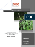 Farmacognosia Equisetum Bogotense