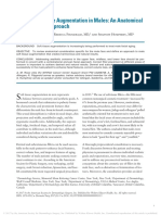 Facial Soft Tissue Augmentation in Males An Anatomical