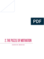 The Puzzle of Motivation