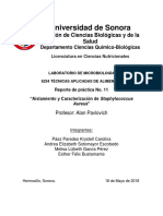 Microbiología: Práctica # 11 Aislamiento y Caracterización de Staphylococcus Aureus"