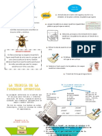 Tecnica Del Escarabajo y Piramide Invertida