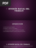 Division Racial Del Trabajo