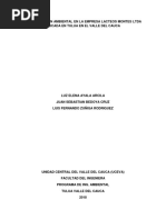 Plan de Acción Ambiental (Paa) para La Empresa de Lacteos. Finalizado.