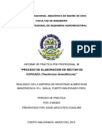 Informe de Practicas Preprofesionales 2 Elaboracion de Nectar de Copoazu de David Arocutipa