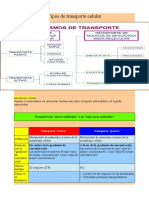 Transporte Celular