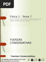 Fisica Tema 7