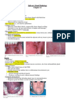 02 - Salivary Gland Pathology Outline