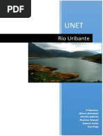 Rio Uribante